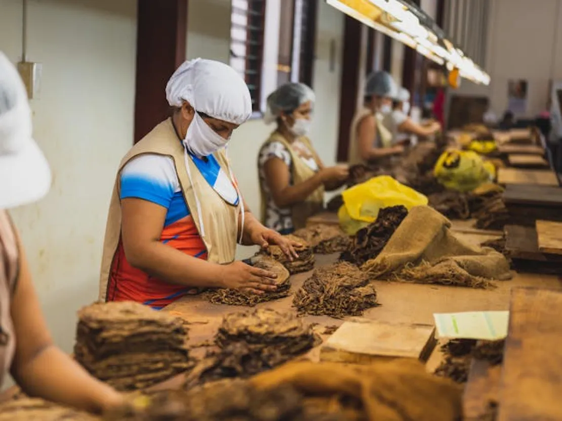 7 Tips agar Kuat Berdiri Lama Saat Bekerja Tanpa Pegal