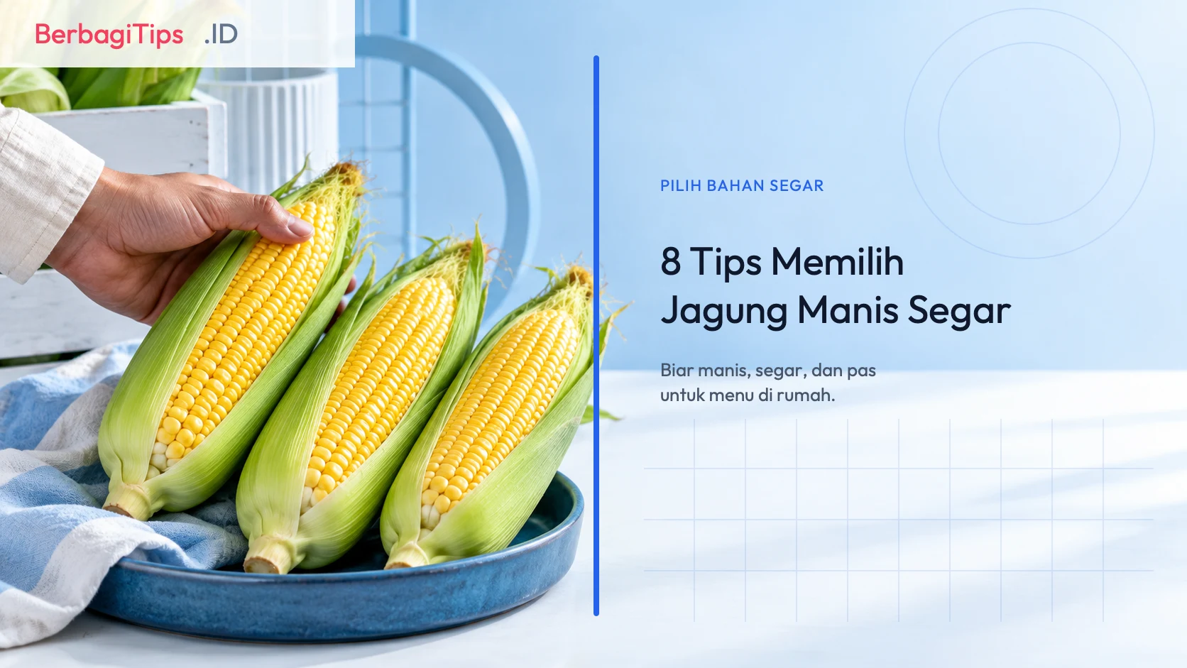 8 Tips Memilih Jagung Manis Segar