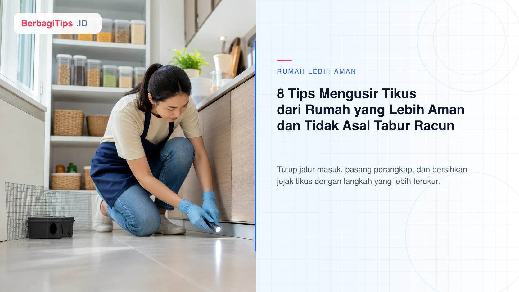 8 Tips Mengusir Tikus dari Rumah yang Lebih Aman dan Tidak Asal Tabur Racun
