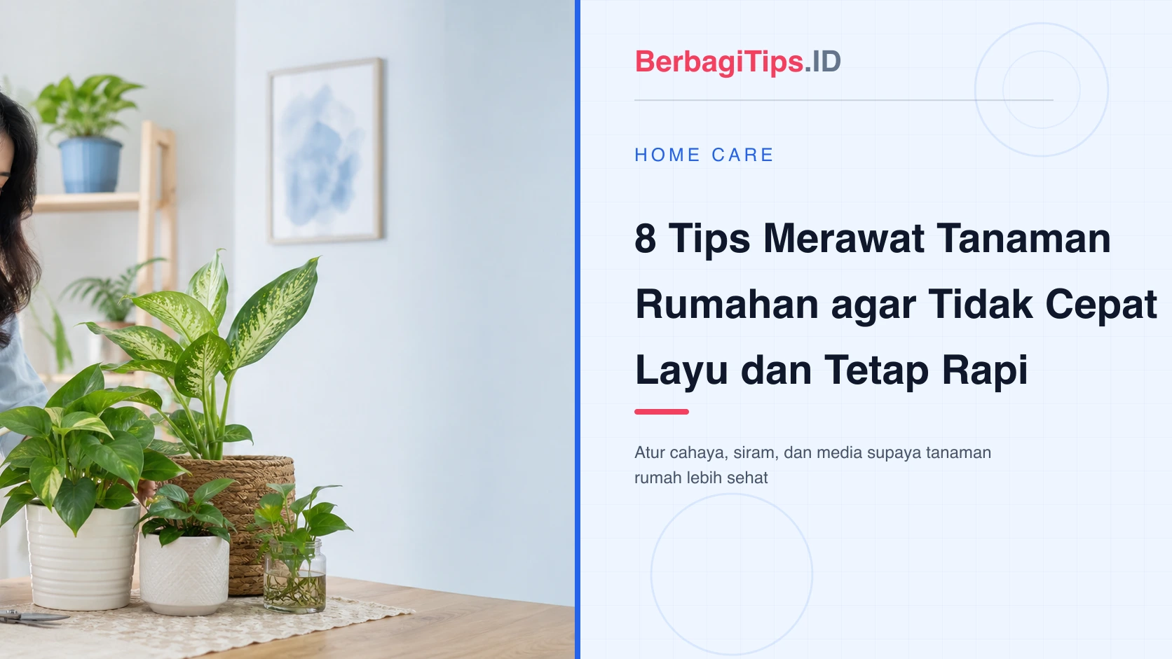 8 Tips Merawat Tanaman Rumahan agar Tidak Cepat Layu dan Tetap Rapi